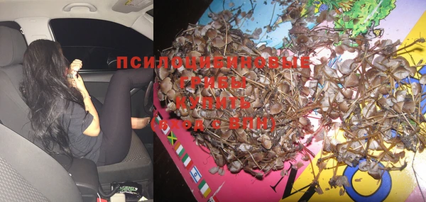 jwh Верхний Тагил