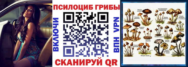 МЕГА как войти  Касли  Галлюциногенные грибы ЛСД 